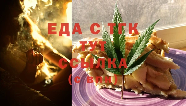 ECSTASY Горняк